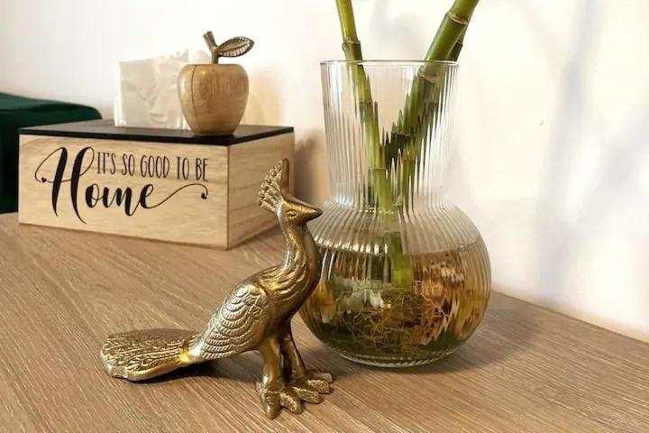 Peacock Studio Năvodari Zewnętrze zdjęcie